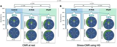 CMR detects decreased myocardial deformation in asymptomatic patients at risk for heart failure